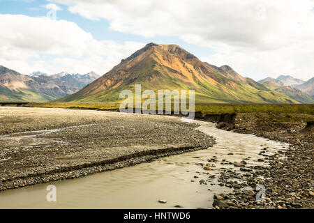 Une rivière qui traverse tressé Denali National Preserve. La rivière est surtout l'écoulement glaciaire mais avec les récentes pluies boueuses. Dans l'arrière-plan est un petit Banque D'Images