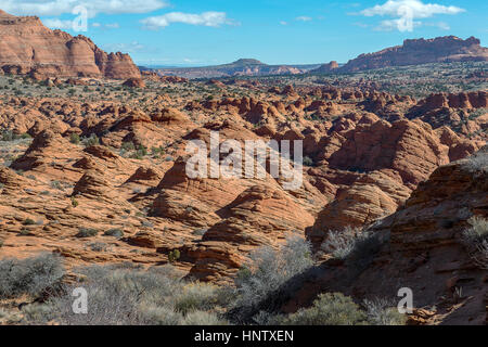 Belle photographie de paysage de Terre pagodes le long sentier jusqu'à la vague en Amérique du Coyote Buttes, Arizona Banque D'Images