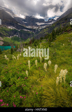 Belle photographie landscpae dans le parc national des Glaciers du Montana Banque D'Images