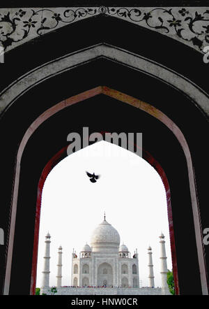 Vue du Taj Mahal, l'Inde de l'intérieur de la porte d'entrée montrant des sculptures et un pigeon volant dans le centre de l'image Banque D'Images