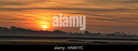 Coucher du soleil sur les terres agricoles près de Slimbridge, Gloucestershire, Angleterre, Royaume-Uni. (HDR) Banque D'Images