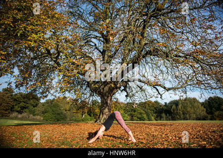 Couple in park sur jour d'automne Banque D'Images