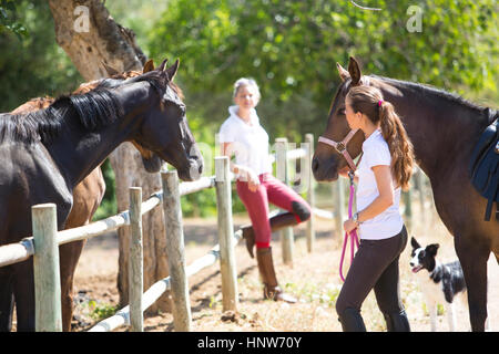 Les palefreniers conduisant à cheval au paddock équitation rural Banque D'Images