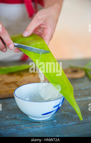 Grattage à la main féminine de feuille d'aloès liquide savon fait à la main en atelier Banque D'Images