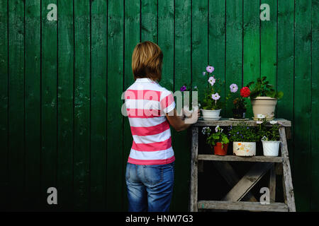 L'organisation de femme pot de fleurs sur une grille Banque D'Images