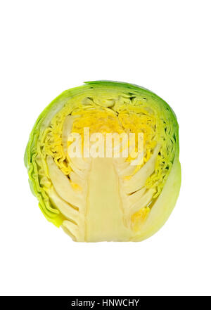 Matières premières fraîches et non cuit coupé en deux seul, CHOU DE BRUXELLES Brassica oleracea, on a white background studio. Banque D'Images