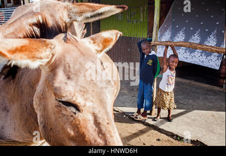 Les enfants, dans le village de pêcheurs de l'île de Rusinga, Kolunga, Lac Victoria, Kenya Banque D'Images