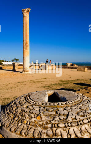 Tunez : Carthage. Les Thermes d'Antonin (construit au 2ème siècle après J.-C.). Banque D'Images