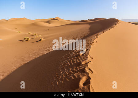 Camp touristique entre les dunes. Paysage du désert marocain. Sahara occidental, à la frontière avec l'Algérie Banque D'Images