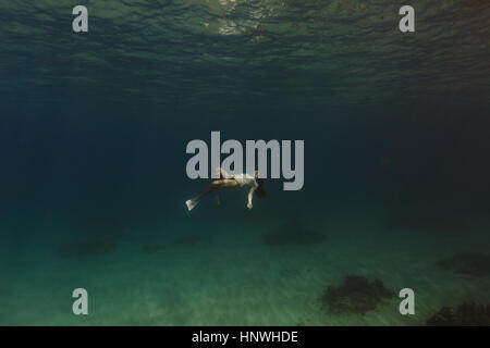 Woman swimming underwater, Oahu, Hawaii, USA Banque D'Images