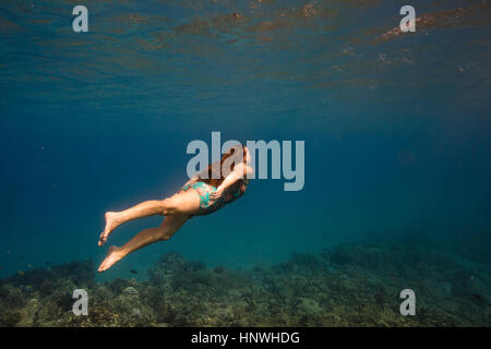 Woman swimming underwater, Oahu, Hawaii, USA Banque D'Images