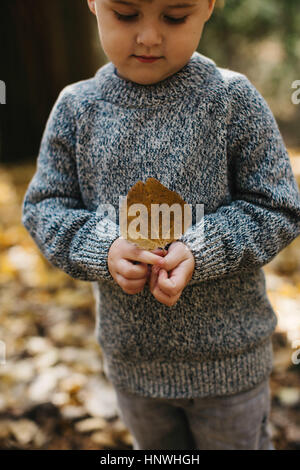 Boy holding brown leaf in forest Banque D'Images