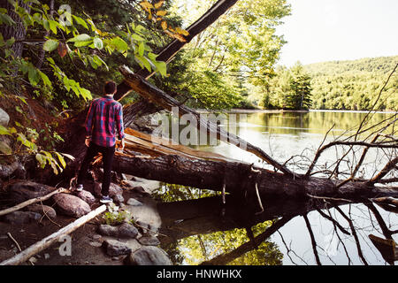 Homme debout à côté du lac, vue arrière Banque D'Images
