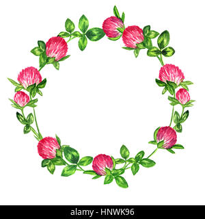 Cadre rond (couronne) de la floraison du trèfle, la conception d'une carte, illustration aquarelle peint main isolé Banque D'Images