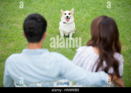 Jeune couple regardant animal Banque D'Images