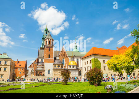 Cracovie, Pologne - 08 juin 2016 : Des groupes de touristes célèbre Cathédrale et château royal de Wawel à Cracovie, Pologne - 08 juin, 2016 Banque D'Images