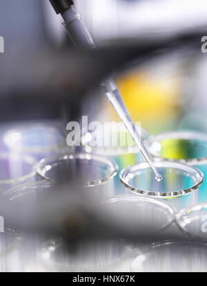 L'échantillon à la pipette dans un rack de tubes à essai à l'intérieur d'une hotte de laboratoire au cours d'une expérience scientifique dans un laboratoire Banque D'Images