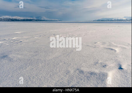 Tornetrask Lake, Abisko National Park, Suède Banque D'Images