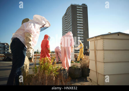 Les apiculteurs tendant aviary on city rooftop Banque D'Images