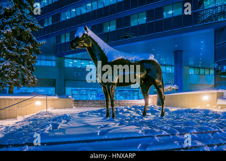 Sculpture de cheval, l'Hôtel de Ville de Calgary, Calgary, Alberta, Canada Banque D'Images