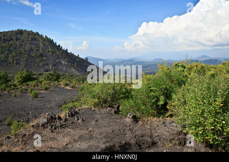 Vue du volcan Paricutin, Mexique Banque D'Images