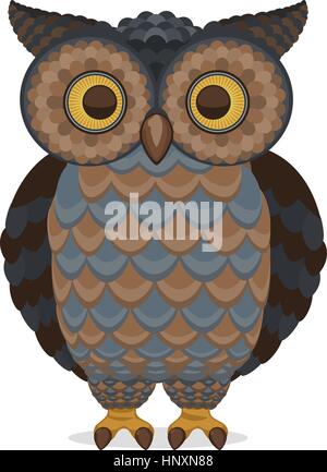 Intelligent et sage blue Brown Owl Permanent Vue avant, vector illustration. Illustration de Vecteur