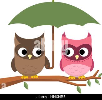 Couple Owl perching sous égide vector illustration. Illustration de Vecteur