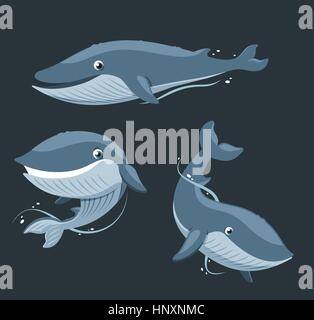 Rorqual bleu ensemble des Mammifères aquatiques, vector illustration cartoon. Illustration de Vecteur