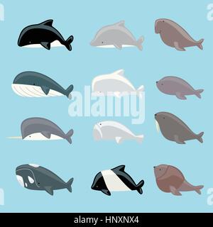 Les mammifères marins icon collection, avec les baleines, les dauphins, les lamantins, le béluga, l'orque, le narval, le morse, la baleine bleue, le lion de mer de l'illustration vectorielle. Illustration de Vecteur