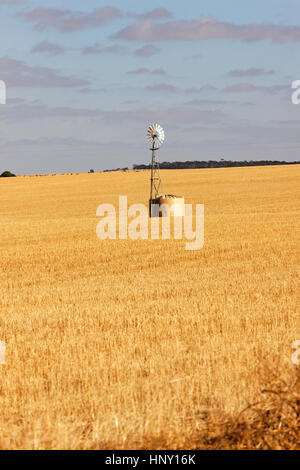 Moulin sur les terres agricoles, de Wongan Hills, en Australie occidentale. Banque D'Images
