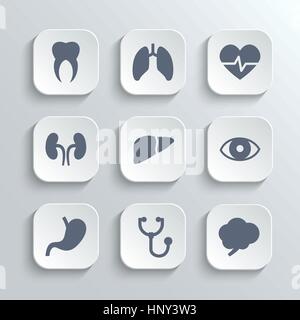 Medical icons set - vector app blanc avec boutons coeur stéthoscope pulse Estomac Foie Poumons cerveau dent oeil rein Illustration de Vecteur