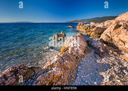Plage magnifique avec de l'eau de mer propre cristalic de pins en Croatie Banque D'Images