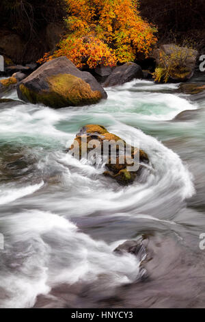 La couleur de l'automne et de rapides sur la rivière Deschutes Coude extérieur Oregon Banque D'Images