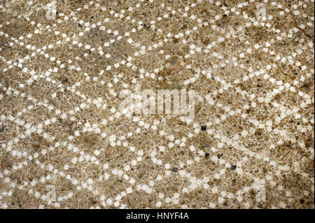 Époque Romaine. L'Opus signinum paviment. 1er siècle av-1e siècle AD. Zone du port d'une carrière. Détail. Tarragone. Musée Archéologique National. Tarragone. L'Espagne. Banque D'Images