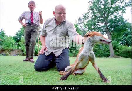 Bruce Lindsay-Smith, avant-plan, et Tony Harman, avec stick, ayant pris un renard dans le jardin. Banque D'Images