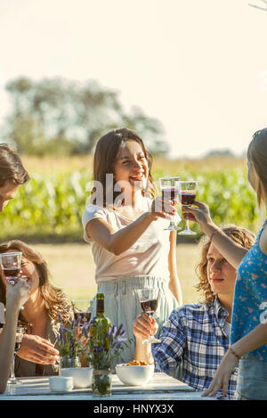 Clinking glasses amis tout en appréciant le vin à l'extérieur Banque D'Images