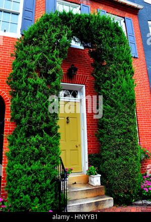 Baltimore, Maryland - Juillet 24, 2013 : gouvernement fédéral era home avec Arborvitae arch flanquant la porte sur la rue Montgomery dans la fonction Hill National sa Banque D'Images