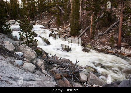 Ruisseau coule sur les rochers, Yosemite National Park, California, USA Banque D'Images