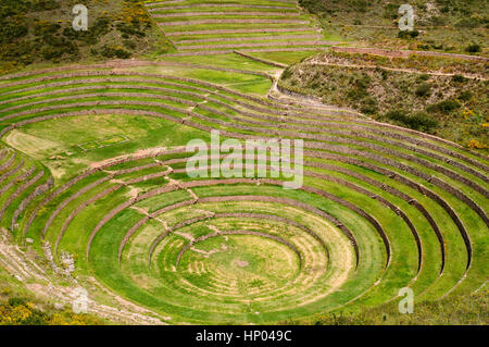 Le Pérou, Moray, d'anciennes terrasses circulaires Inca. Il est probable les Incas de l'agriculture de laboratoire Banque D'Images