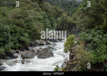 Haast river rapids dans Mount Aspiring National Park, Île du Sud, Nouvelle-Zélande. Banque D'Images