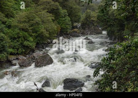 Haast river rapids dans Mount Aspiring National Park, Île du Sud, Nouvelle-Zélande. Banque D'Images