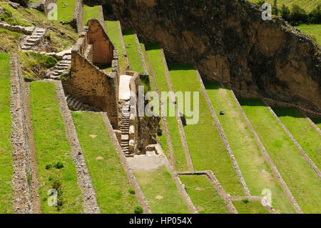 Le Pérou, Ollantaytambo - forteresse Inca dans la vallée sacrée dans les Andes péruviennes. La photo présente des terrasses agricoles sur le site Inca Ollantayta Banque D'Images