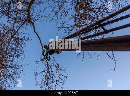 Fer à repasser, bord de l'ancienne grue de la vue depuis le bas, appareil historique pour les bateaux, ciel bleu et les branches d'arbres Banque D'Images