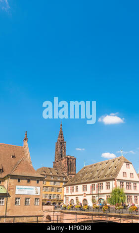 La cathédrale de Strasbourg vu du quai saint-Nicolas, musée d'histoire de la ville sur la droite, Strasbourg, Alsace, bas-rhin, france Banque D'Images