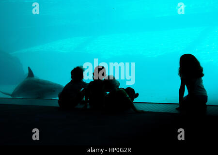 La silhouette d'enfants de regarder le dauphin jouer sous l'eau dans l'Aquarium de Corpus Christi Banque D'Images