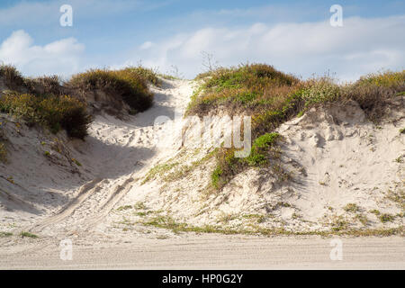 Les dunes le long de la plage à Port Aransas Texas Banque D'Images