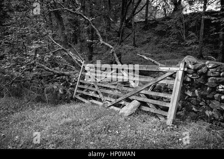 Ancienne porte de ferme en mono Banque D'Images