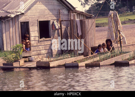 Habitants de l'Amazone, qui vivent dans des maisons flottantes et ayant aussi un intéressant plantation flottant attaché à lui, Amazone, Brésil Banque D'Images