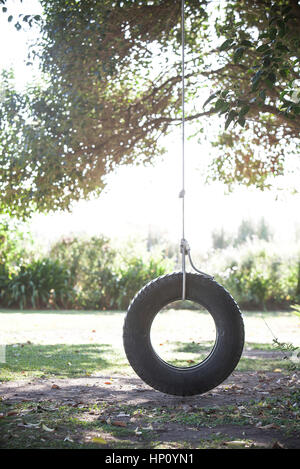 Balançoire pneu hanging from tree branch Banque D'Images