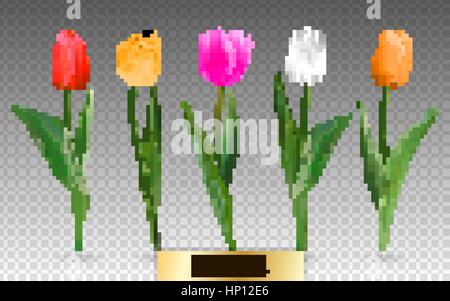 Tulipes vecteur réaliste. Pas de trace. Le cache pour votre conception. Tulipes fleurs rouge sur fond transparent. Illustration de Vecteur